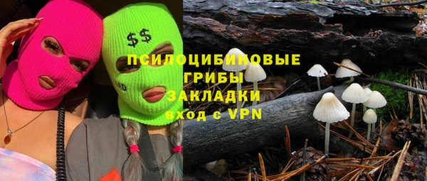 а пвп мука Медвежьегорск